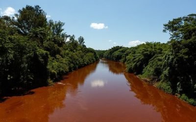 Estudo mostra crescimento de superbactérias em importante rio de Minas Gerais