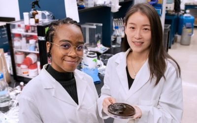 Gel movido a energia solar se destaca na purificação de água