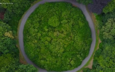 UFMT avança nos estudos sobre nanotecnologia no Agro