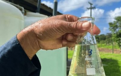 Compesa reaproveita água do seu processo de tratamento em Fernando de Noronha