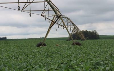 São Paulo enfrenta desafio de assegurar água para abastecer consumidores, cidades e indústrias em meio a crescimento da irrigação voltada para produção agrícola