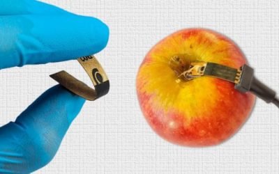 Sensor de papel detecta agrotóxico em alimentos de modo rápido e barato