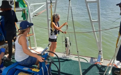 Veleiro ECO encontra vida em formação em meio à alta quantidade de plástico no Rio Itajaí