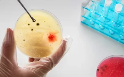 Curso gratuito aborda ferramentas de inteligência artificial para microbiologia