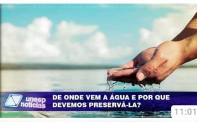 Como preservar, de fato, a água, e por que não apostar mais na dessalinização da água do mar?