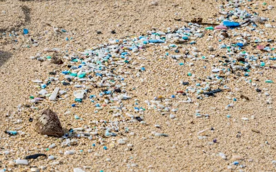 Os microplásticos são contaminantes emergentes que preocupam e desafiam pesquisadores e autoridades