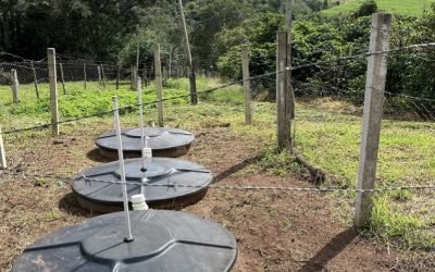 Produtores rurais evitam despejo de quase 16 mi de litros de esgoto na natureza com uso de tecnologias de saneamento