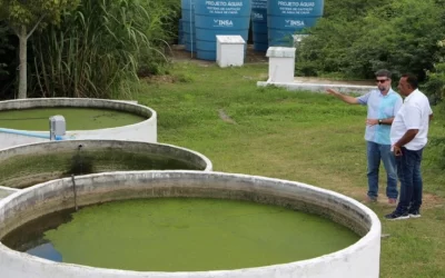 Pesquisadores do Insa desenvolvem tecnologia de reuso da água do esgoto para irrigação