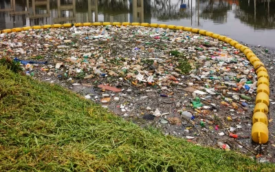 Microplásticos – Quanto menores os fragmentos de plástico, maior o dano ambiental