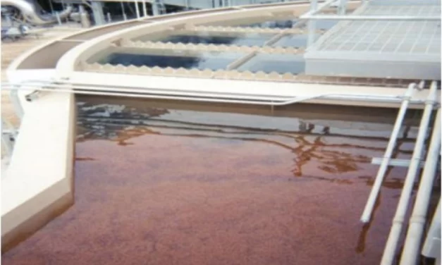 Clarificador e Espessador para Tratamento de Água e Efluentes