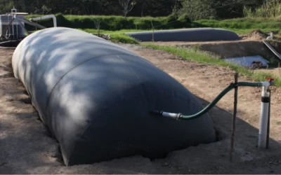 “Série Energia”: Efluentes agrícolas são alternativa para gerar energia no campo