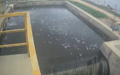 Casan já exibe imagens em tempo real de efluentes tratados em Florianópolis