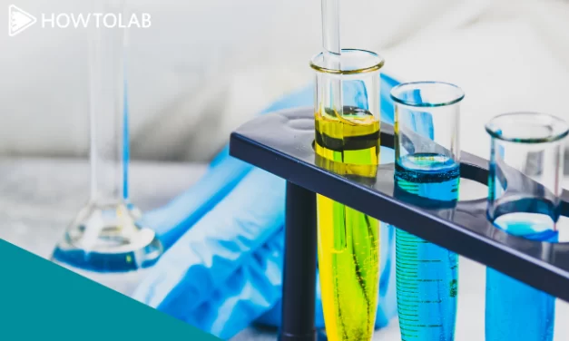 Padronização dos processos de Laboratórios: do planejamento à execução