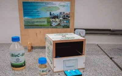 Reuso de água de dejetos acelera desenvolvimento de plantas