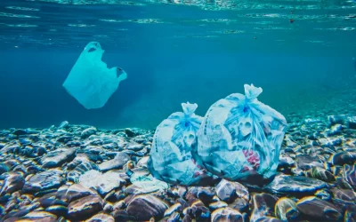 Contaminação por metais pesados: a ameaça dos poluentes ao oceano e à saúde humana