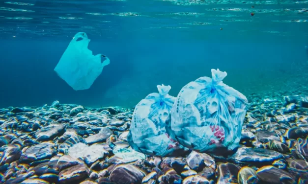 Contaminação por metais pesados: a ameaça dos poluentes ao oceano e à saúde humana