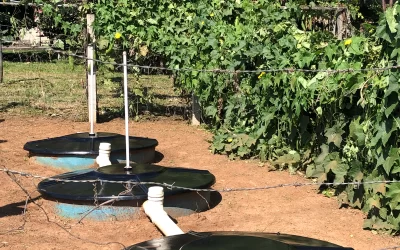 Embrapa e Consórcio PCJ fazem parceria inédita em saneamento rural