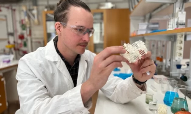 Nova maneira de purificar a água de poluentes farmacêuticos