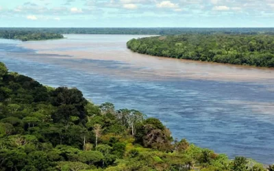 Falta de modelagem de dispersão de óleo corrobora a negativa do Ibama para a Petrobras