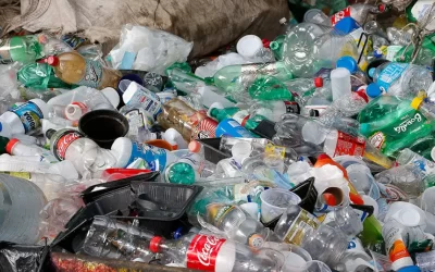 Substâncias químicas descartadas no ambiente podem contaminar o ser humano de diversas formas