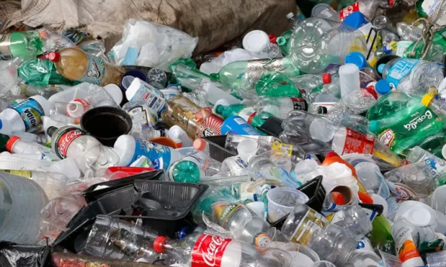 Substâncias químicas descartadas no ambiente podem contaminar o ser humano de diversas formas