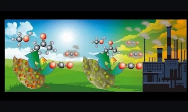 Pesquisadores exploram estratégias para transformar CO2 em produtos de valor para a indústria