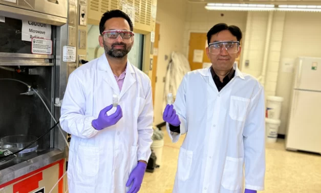 Pesquisadores realizam avanços ao transformar penas de galinha em filtros de água