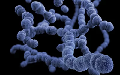Resistência a antibióticos até então desconhecida se espalha entre as bactérias