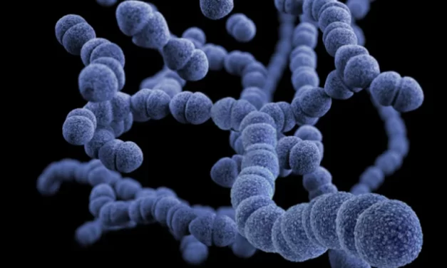 Resistência a antibióticos até então desconhecida se espalha entre as bactérias