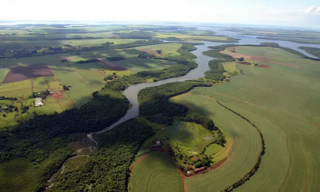 Com amplo reflorestamento, Rio Iguaçu tem maior volume de água em 12 anos
