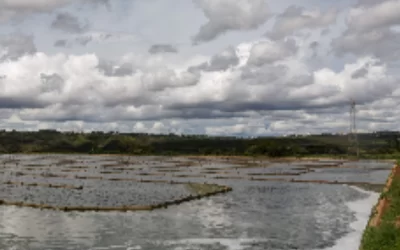 Resolução trata de outorga para lançamento de águas pluviais no DF