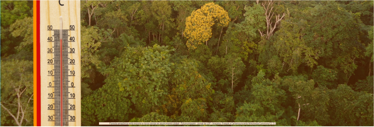 floresta_amazonica