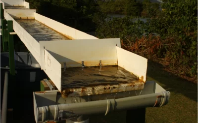 “Tapete de algas” é alternativa barata e sustentável para tratamento das águas de Florianópolis