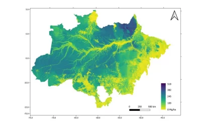 Novo mapa traz o levantamento total da biomassa da Floresta Amazônica