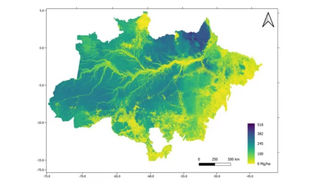 Novo mapa traz o levantamento total da biomassa da Floresta Amazônica