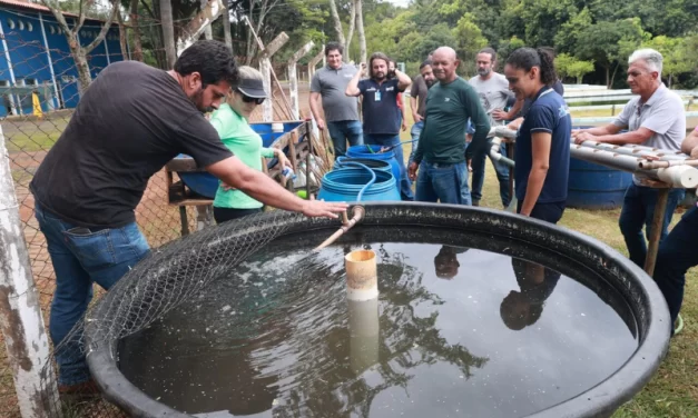 Prefeitura recebe inscrições para edição de outubro do curso de Aquaponia