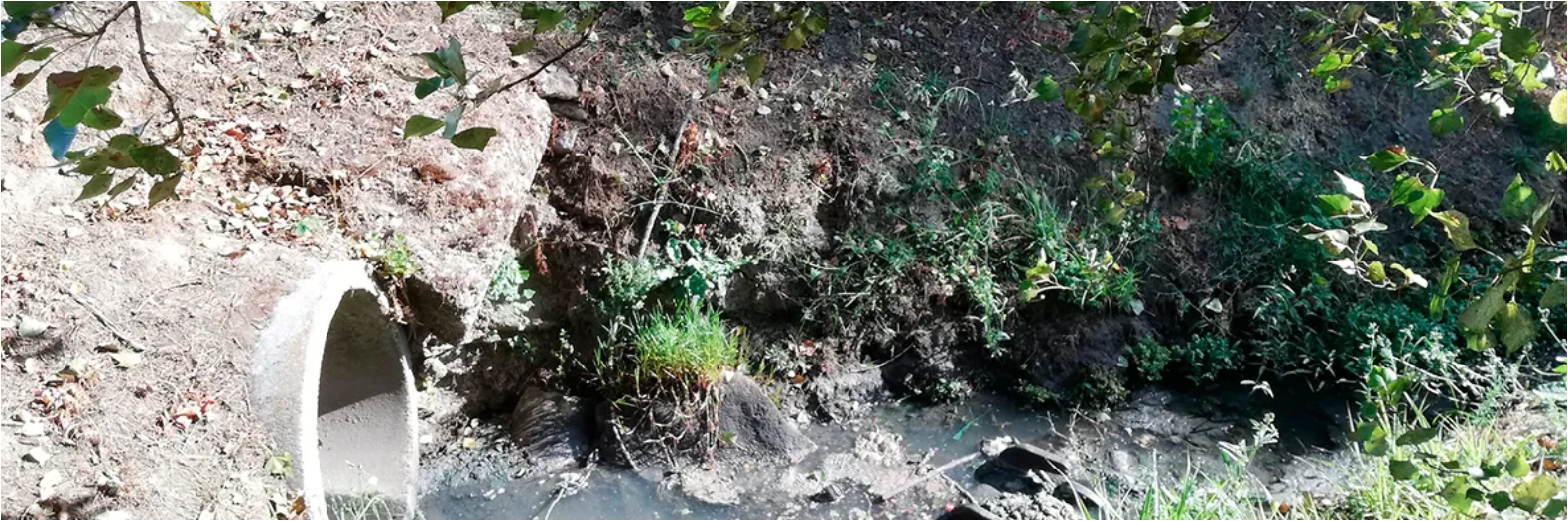 poluentes_altamente_toxicos