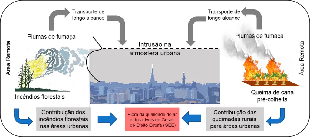 grafico_queimadas