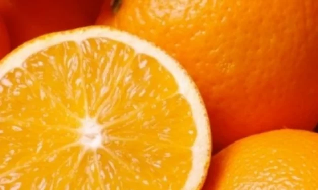 FAPESP e Citrosuco apoiarão centro de pesquisa em citricultura