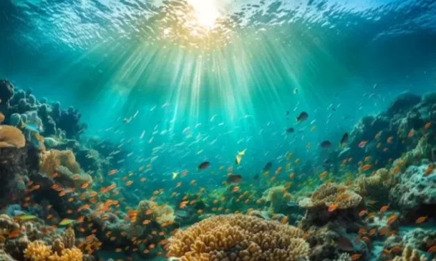 Microfósseis podem ser encontrados no oceano e indicam a qualidade do ambiente