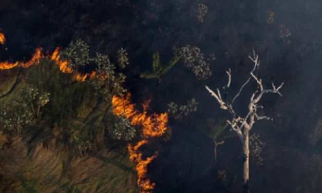 Queimadas aumentam excesso de gás carbônico em até 1.000% na Grande São Paulo