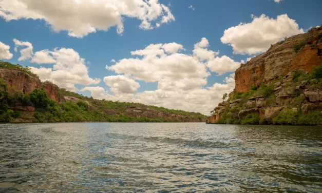 Investimento de R$ 8,8 bilhões promove revitalização de bacias hidrográficas