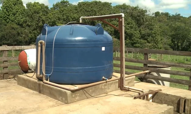 Pequenos bovinocultores podem economizar R$ 1,45 bi anuais com biodigestores