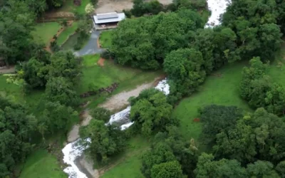 Governo federal reconhece situação de emergência em Joinville após acidente com ácido sulfônico