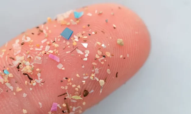 Ameaça invisível: um litro de água engarrafada pode conter 240 mil minúsculos fragmentos de plástico