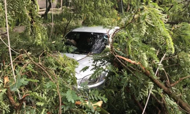 Porto Alegre tem 40 estações de bombeamento de água com problemas e Dmae estima 48 horas para normalização