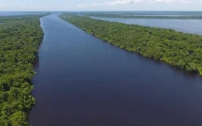 Com rios em processo de enchente, Bacia Amazônica entram no início da cheia 2024