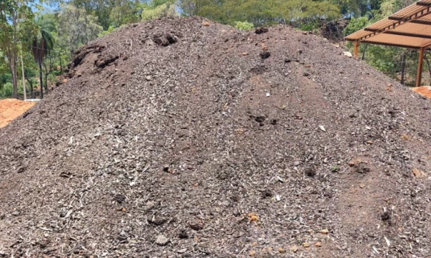 Copasa produz fertilizante orgânico com lodo de estações de tratamento