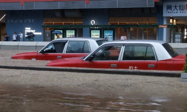 Entenda o Fundo de Perdas e Danos para crise climática da COP28