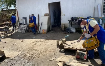 Dengue: aumento da doença pode ser contido com mais investimentos no saneamento ambiental